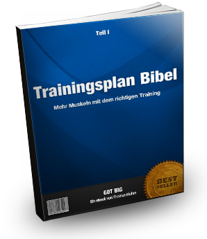 Trainingsplan Bibel Thomas Bluhm Erfahrungen